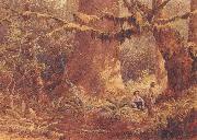 Lucius O Brien A British Columbian Forest oil painting